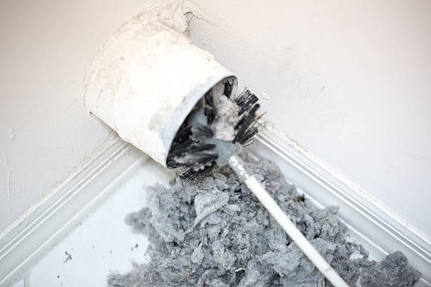 Best Residential Air Duct Cleaning  in Lumberton, TX
